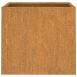vidaXL Jardinières 2 Pièces 42x40x39 cm acier corten