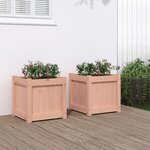 vidaXL Jardinières 2 Pièces bois massif douglas