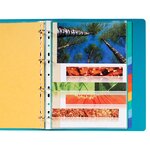 Intercalaires En Véritable Carte Lustrée Souple 225g/m2 Fsc® Avec 12 Onglets Neutres - Couleurs Assorties - X 25 - Exacompta