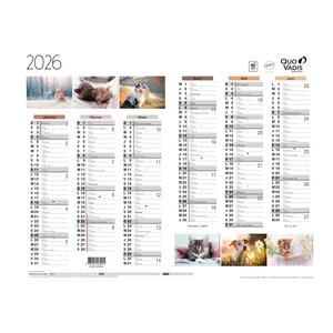 Calendrier Mural 2026 - 12 Mois - 27 x 21 cm - Animaux