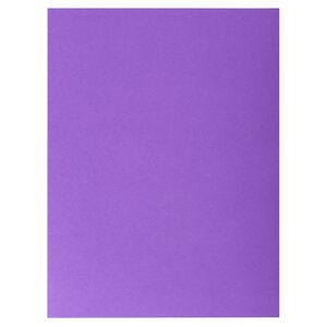 Paquet De 25 Chemises Double Poche Rock''s 210 - Double A4 Ou A3 - 24x32cm - Violine - X 10 - Exacompta