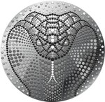 Pièce de monnaie en Argent 1 Dollar g 15.57 (1/2 oz) Millésime 2025 Lithuanian Lunar Year SNAKE