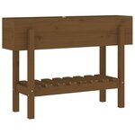 vidaXL Lit surélevé de jardin marron miel 101x30x69 cm bois pin massif