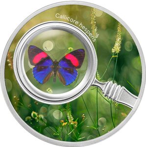 Pièce de monnaie en Argent 500 Francs g 17.50 Millésime 2024 Butterflies CALLICORE HESPERIS