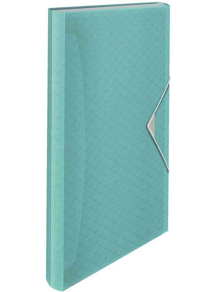Trieur Colour'Ice, 2 A4, 6 compartiments, bleu ESSELTE