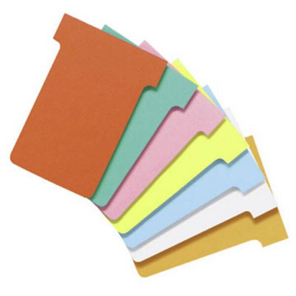Paquet de 100 fiches T" planning  T2 orange (paquet 100 unités)"