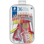 Crayon de couleur hexagonal  étui en métal de 36 staedtler