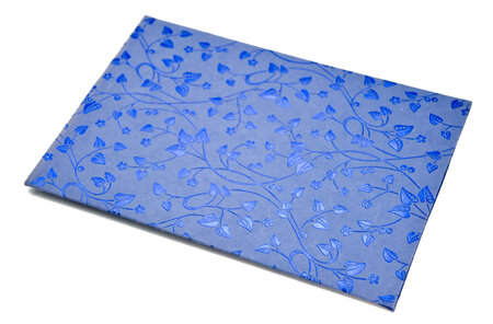 PAPERTREE DAPHNE Lot de 5 Enveloppescadeau 17*23 (A5)-Bleu