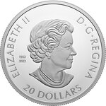 Pièce de monnaie en Argent 20 Dollars g 31.39 Millésime 2023 REMEMBRANCE DAY