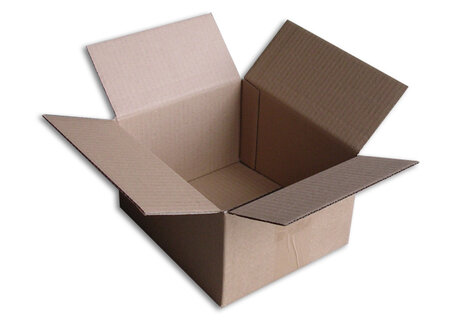 Lot de 25 Boîtes carton (N°15) format 210x180x120 mm