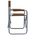 vidaXL Chaises de metteur en scène lot de 2 Acier Marron