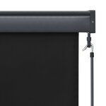vidaXL Store roulant d'extérieur 80 x 250 cm Anthracite