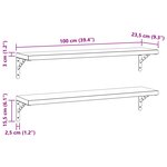 vidaXL Étagères murales 2 Pièces 100x23 5 cm argenté acier inoxydable
