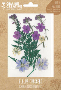 Fleurs Pressées Prairie Violet 13 pièces