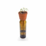 Kit Plantation - Pot en terre cuite avec mèche en coton