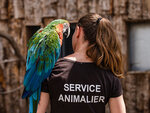 SMARTBOX - Coffret Cadeau 2 entrées adulte pour la Tanière Zoo Refuge près de Chartres -  Multi-thèmes