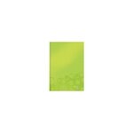 LEITZ Cahier Couverture A5 Petits Carreaux Vert