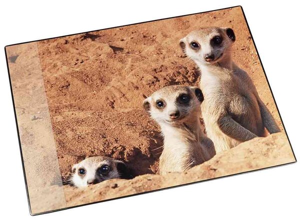 Sous-main plastique 3 couches 400 x 530 mm SURICATE LÄUFER