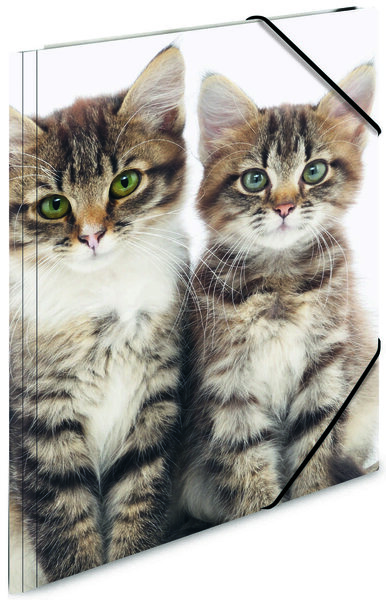 Chemise 3 rabats et élastique polypro pour A4 Motif Chat HERMA