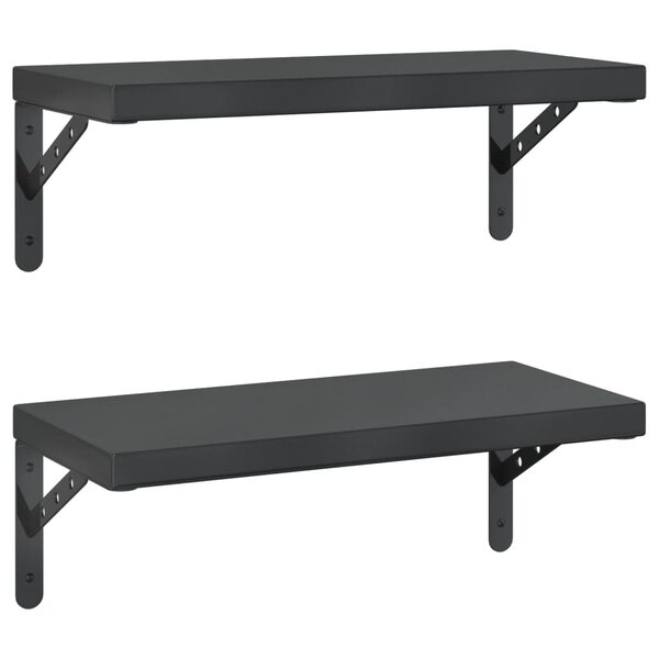 vidaXL Étagères murales 2 Pièces 50x23 5 cm noir acier inoxydable