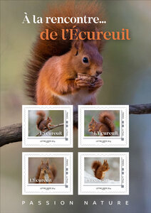 Collector 4 timbres - L'écureuil - Lettre Verte