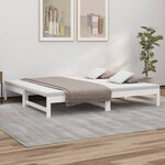 vidaXL Lit coulissant Blanc 2x(80x200) cm Bois de pin massif