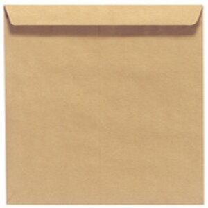 Lot de 10 pochettes d'expédition, sans fenêtre, marron 250 x 353 mm -  herlitz