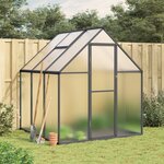 vidaXL Serre avec cadre de base anthracite 169x169x195 cm aluminium