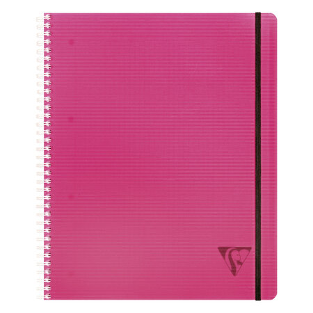Cahier spirales Proactiv'Book Linicolor Clairefontaine - A4+ - 22