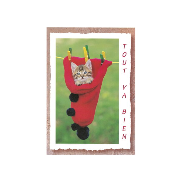 Carte message - chaton  "tout va bien"