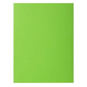 Paquet De 100 Chemises Rock''s 210 - 24x32cm - Vert - Exacompta