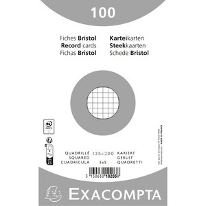 Paquet 100 Fiches Sous Film - Bristol Quadrillé 5x5 Non Perforé 125x200mm - Blanc - X 12 - Exacompta