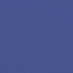 vidaXL Auvent latéral rétractable bleu 120x1000 cm