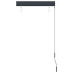 vidaXL Store roulant d'extérieur 80 x 250 cm Anthracite