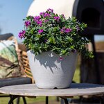 Capi Pot à plantes conique bas Arc Granite 60x48 cm Ivoire