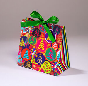 Sac cadeau little bubble pmcl 18 x h 18 noel