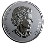 Pièce de monnaie 25 Cents Canada Compagnie des chemins de fer nationaux du Canada 2019 BU