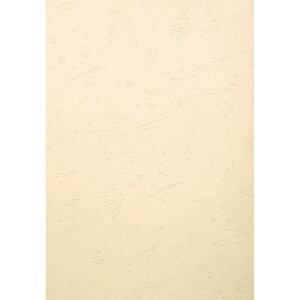 Paquet De 100 Couvertures Grain Cuir Pour Reliure A3 - Ivoire - Papeteries De Clairefontaine