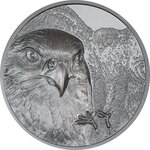 Monnaie en argent 1000 togrog g 62.2 (2 oz) millésime 2023 wild mongolia falcon