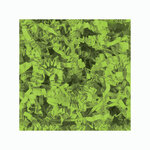 5 kg de frisure  de calage couleur vert pomme -Lacouronne e.pack