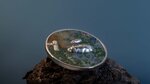 Hippos private split views 1 oz silver monnaie 5 dollars palau 2023