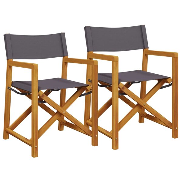 vidaXL Chaises pliables de jardin lot de 2 gris foncé tissu