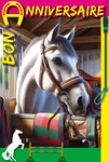Carte Bon Anniversaire Cheval blanc dans son box avec Enveloppe 12x17 5cm Passion Chevaux Poneys Sports équestres Saut d'obstacles Dressage Cross-country Courses hippiques - Fabriqué en France