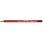 Pica crayons universels classic for all 545 10 pièces 23 cm