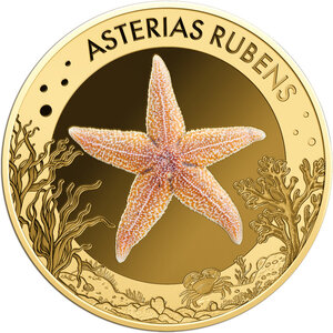 Monnaie COMMON STARFISH Sea Creatures 1/1000 Oz Or 3000 Francs Chad