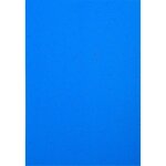 Paquet De 100 Couvertures Grain Cuir Pour Reliure A4 - Bleu - Papeteries De Clairefontaine