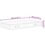 vidaXL Matelas à ressorts ensachés dureté moyenne 100x200 cm