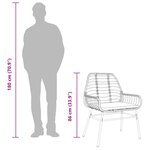 vidaXL Chaises de jardin lot de 2 avec coussins noir résine tressée