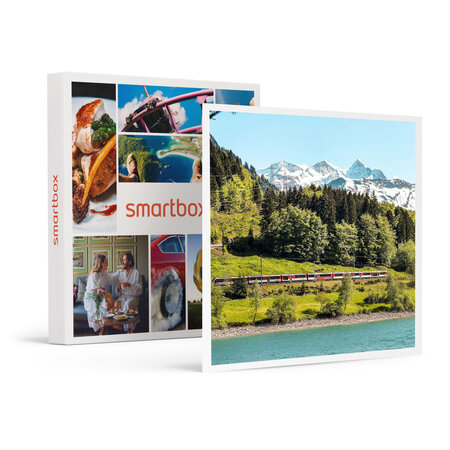 SMARTBOX - Coffret Cadeau L'Europe en train : pass Interrail de 22 jours -  Sport & Aventure