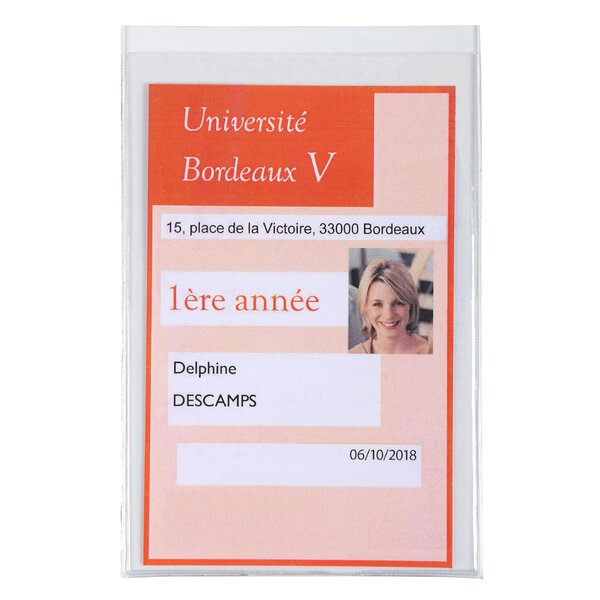 Etui De Protection En Pvc Lisse 20/100e Multi-usages - Cristal - X 10 - Exacompta